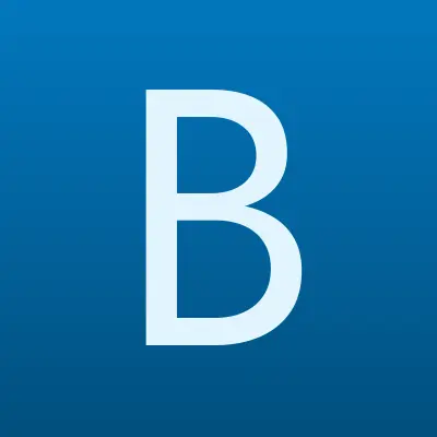 БИТ, лого-визитка