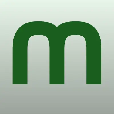 МИМОЗА, IT-компания, лого-визитка