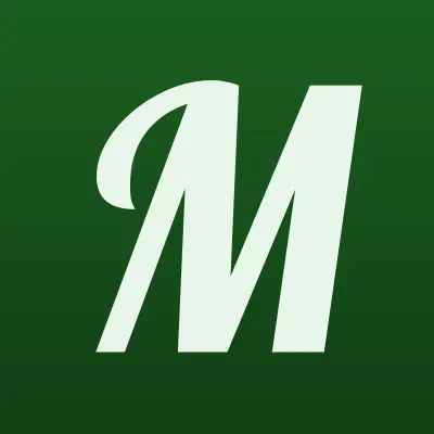 Моментальные платежи, терминал, лого-визитка