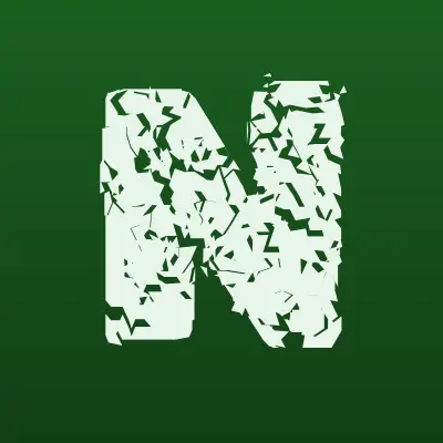 NADIN, студия красоты, лого-визитка
