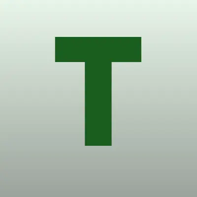 Tonergarage, мастерская по нанесению тонировки, лого-визитка